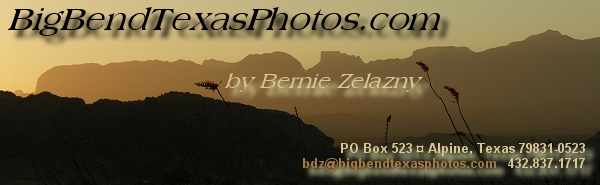 Click to return to the home page - BigBendTexasPhotos.com by Bernie Zelazny, PO Box 523, Alpine, TX 79831-0523, 432.837.1717